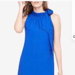 Ann Taylor dress